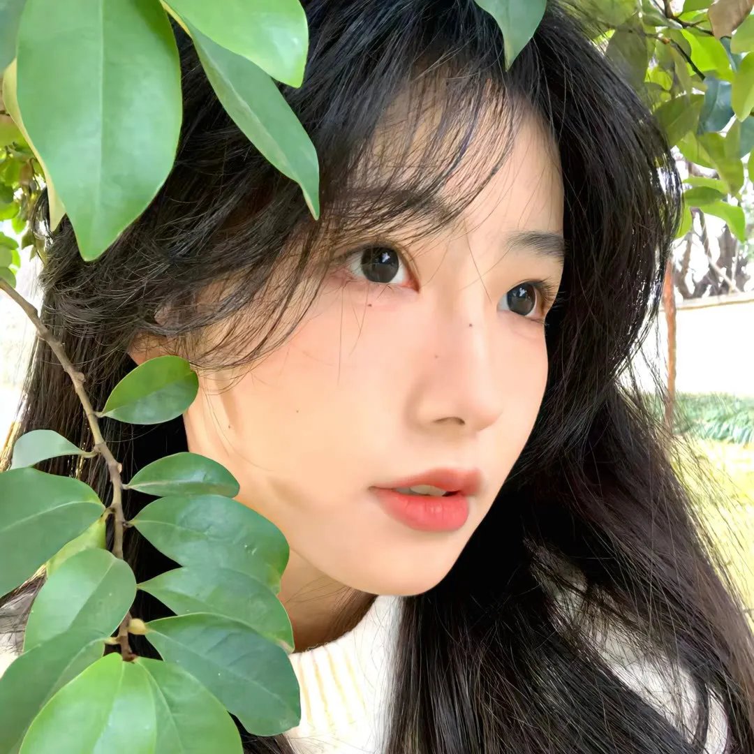 残酷街头：暴力实录